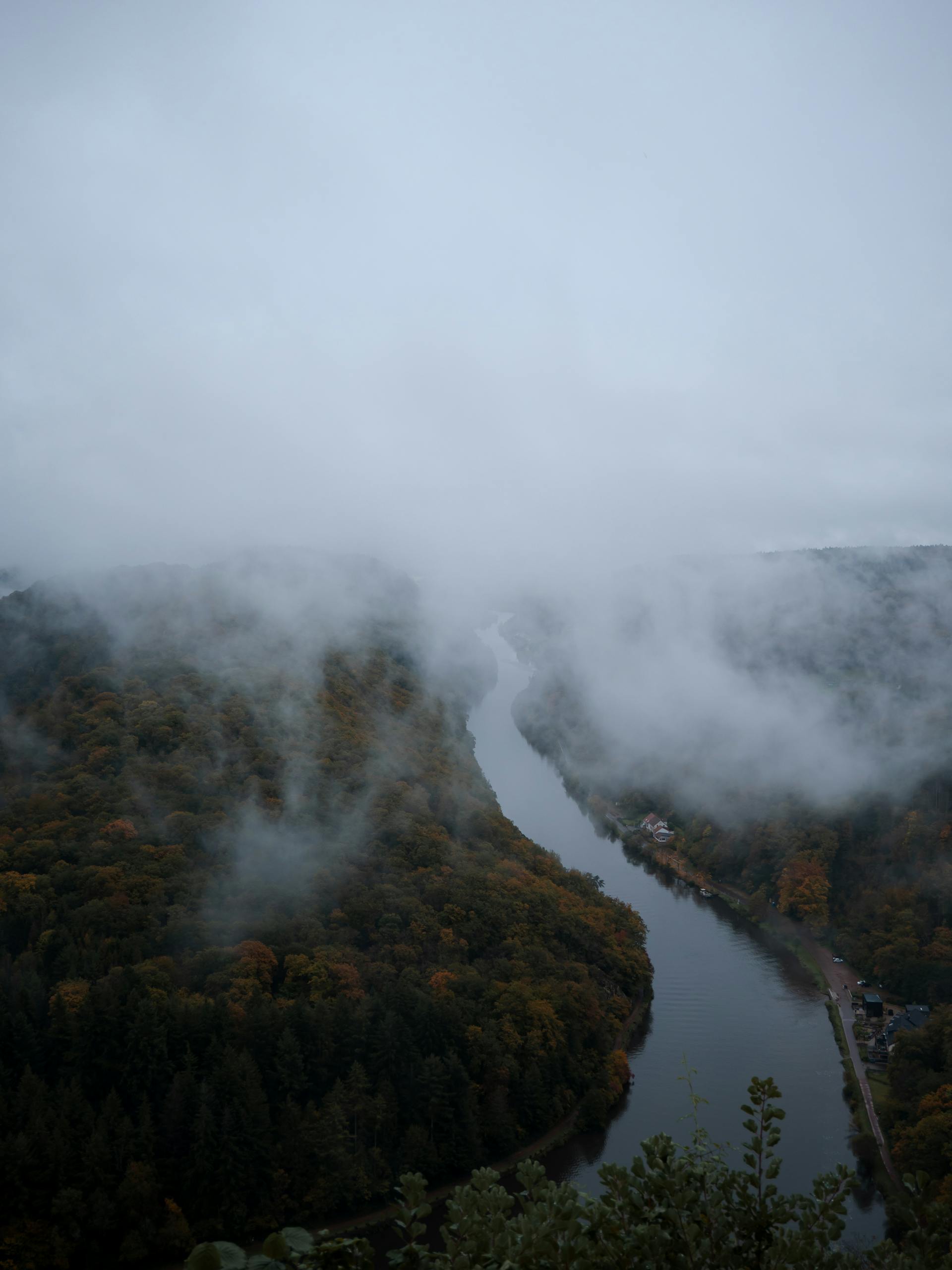 A serene view of a winding river through a misty autumn forest in Saarland, Germany.